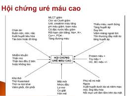 4. Phân Loại Hội Chứng Tăng Ure Máu